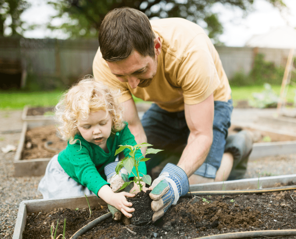South Bay Credit Union Volunteers at Community Garden