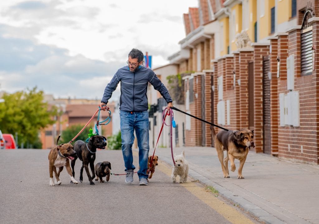 How Side Hustles Can Benefit Your Wallet